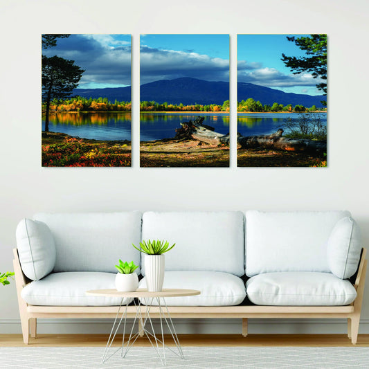Set of 3 nature wall art phototile frame image 0