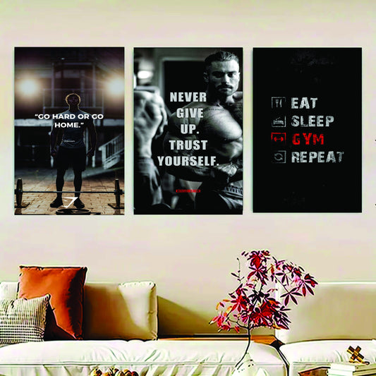 Set Of 3 GYM Sticky Canvas Phototiles Frame For Wall, Home Decor image 0