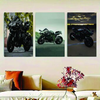 Set Of 3 Ninja H2R bike Sticky Canvas Frames For Wall Decore / Sticky Phototiles
