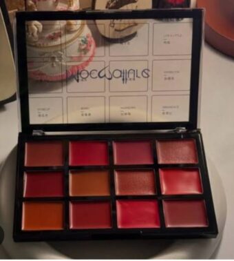 Mocallure 12-Color Lip Palette / Long-Lasting Professional Lip Kit for Every Mood - Image 3
