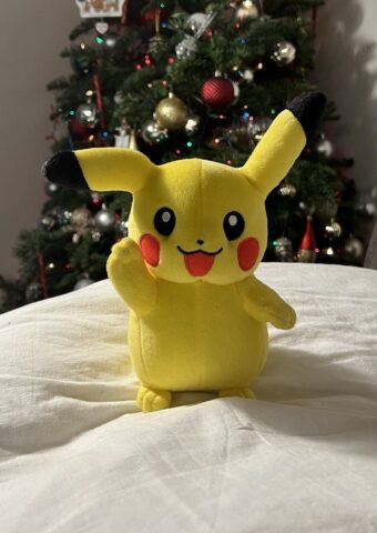 Pokemon Plush Toy For Kids - 20cm Plush Toy For Kids | Plush Toys For Babies | Plush Skin Toy Pokemon  - Image 3