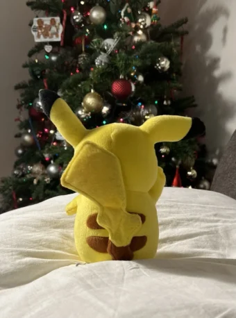 Pokemon Plush Toy For Kids - 20cm Plush Toy For Kids | Plush Toys For Babies | Plush Skin Toy Pokemon  - Image 2