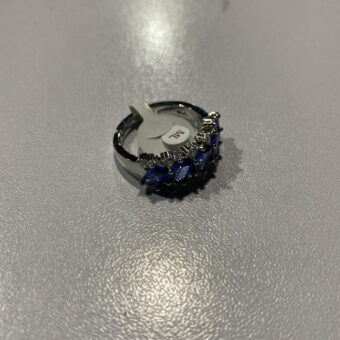 AR-rng-Blu-450-002