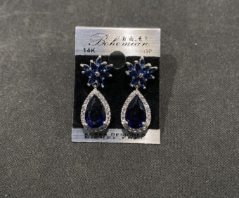 AR-ear-Blu-550-008