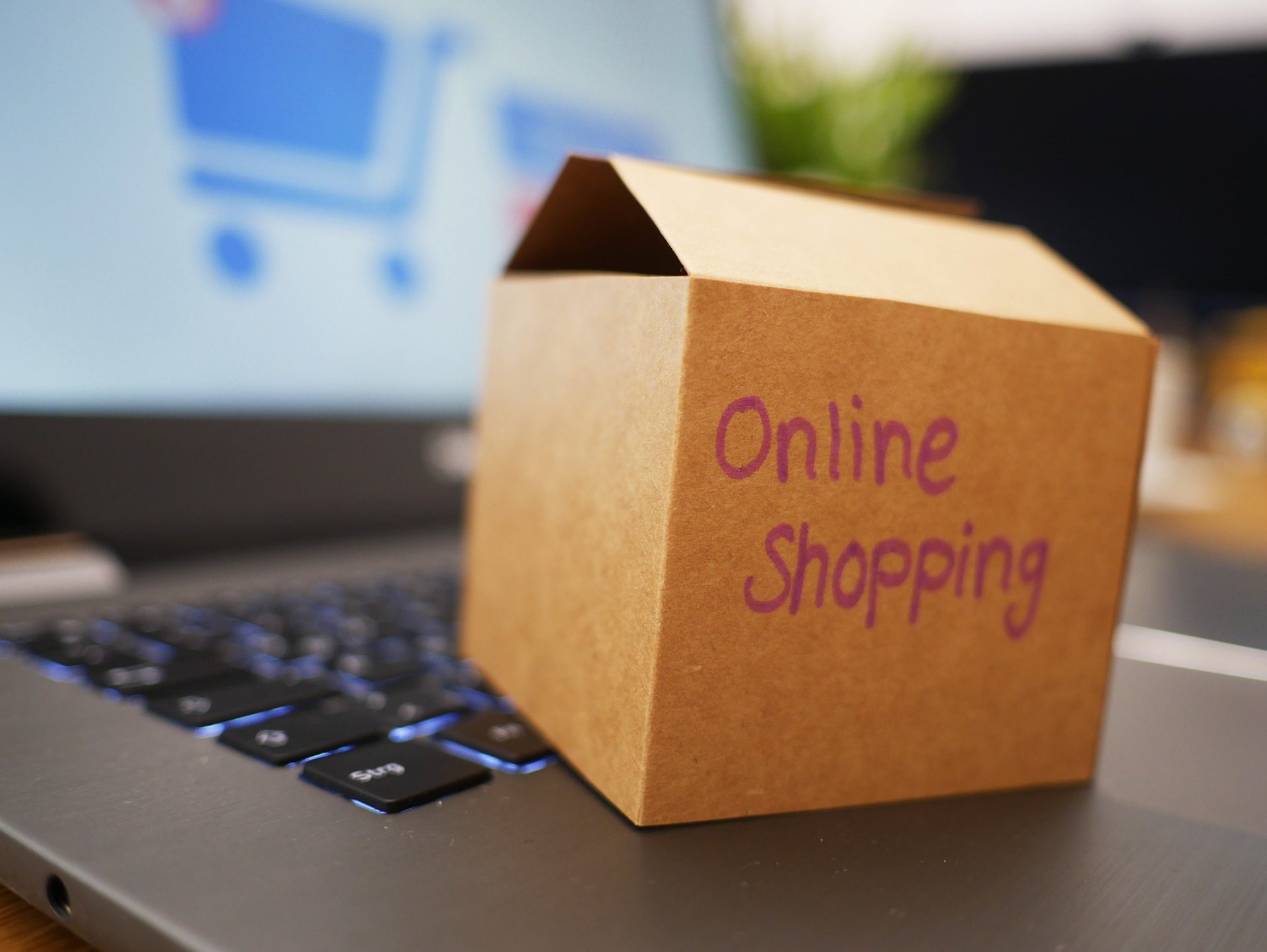 The Benefits of Shopping Online vs. In-store in Pakistan