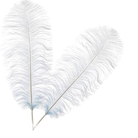 White Ostrich Feathers – 2 Pcs, 6-8 Inch